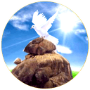 TLCC logo